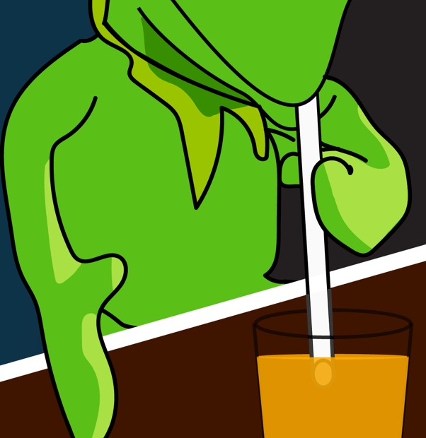 Kermit portrait study